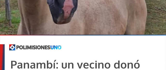 Panambí: un vecino donó un potrillo a la División Defensa del Medio Ambiente de la UR-II